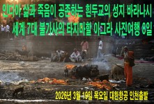 인디아 바라나시 타지마할 8일