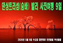 숨바 발리