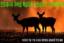 자바섬 다큐와 천상의 빛