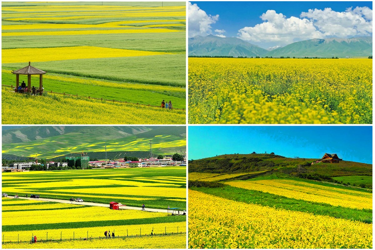 7f07972559a0bc5d7c57b0f42c96cf64_1764694