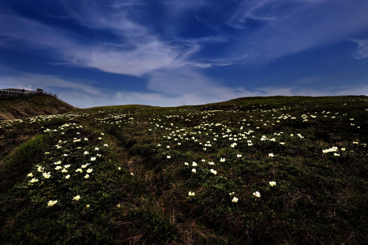 429c86956dd92a515ba6f622949a5ea6_1770926