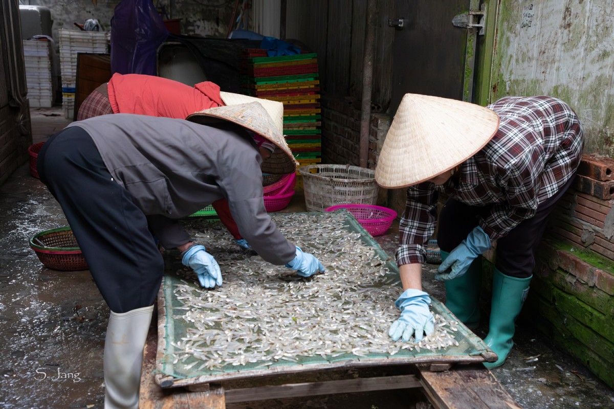 efd8da51639f69d48293f77f0be6bb9d_1771742