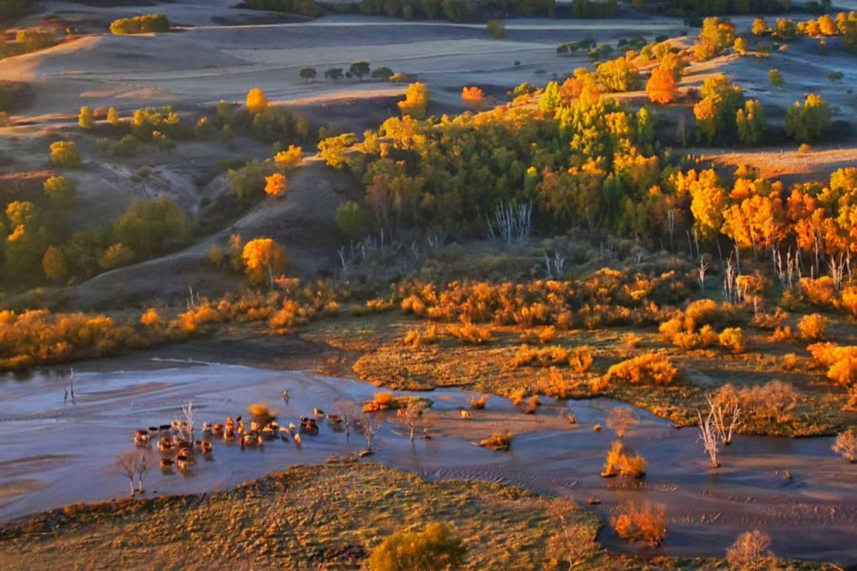 76b63a5c087bf0f90a562478afb0f484_1772471