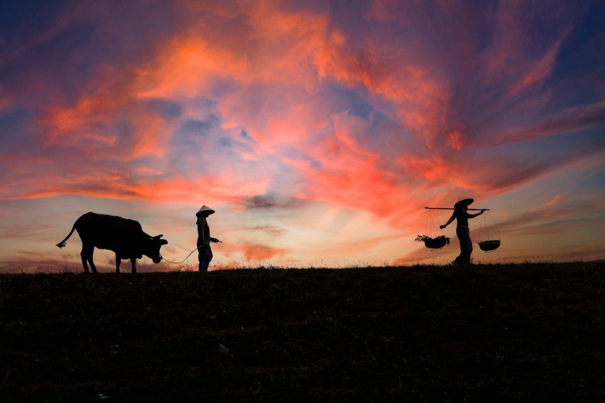 81cdfd0ca5b37b0bdfaf2b9fb8ebb4fa_1773068