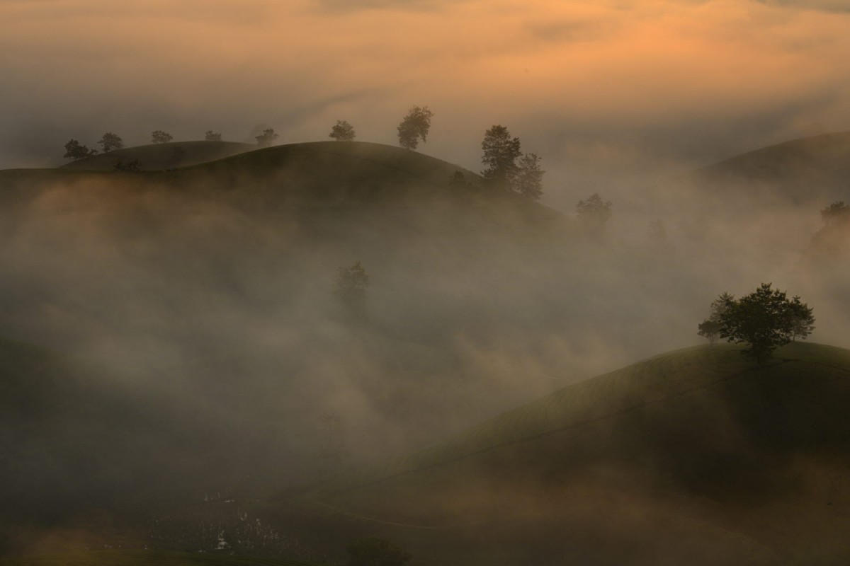 8f49cb61e20378edba53a8198f19c7e6_1772304