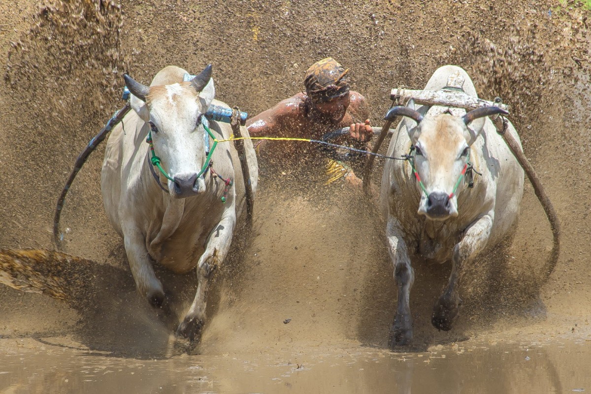 8f49cb61e20378edba53a8198f19c7e6_1772311