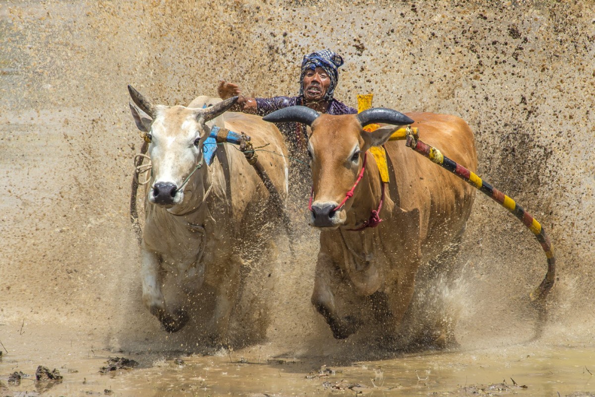 8f49cb61e20378edba53a8198f19c7e6_1772311