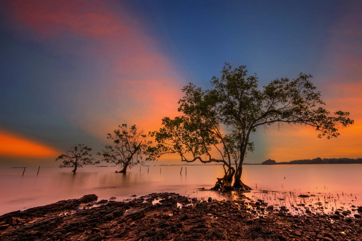 8f49cb61e20378edba53a8198f19c7e6_1772311