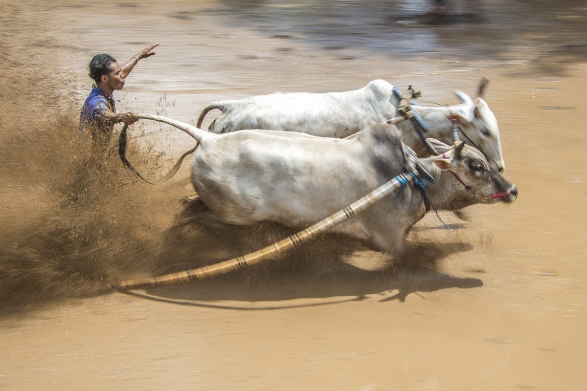 8f49cb61e20378edba53a8198f19c7e6_1772311