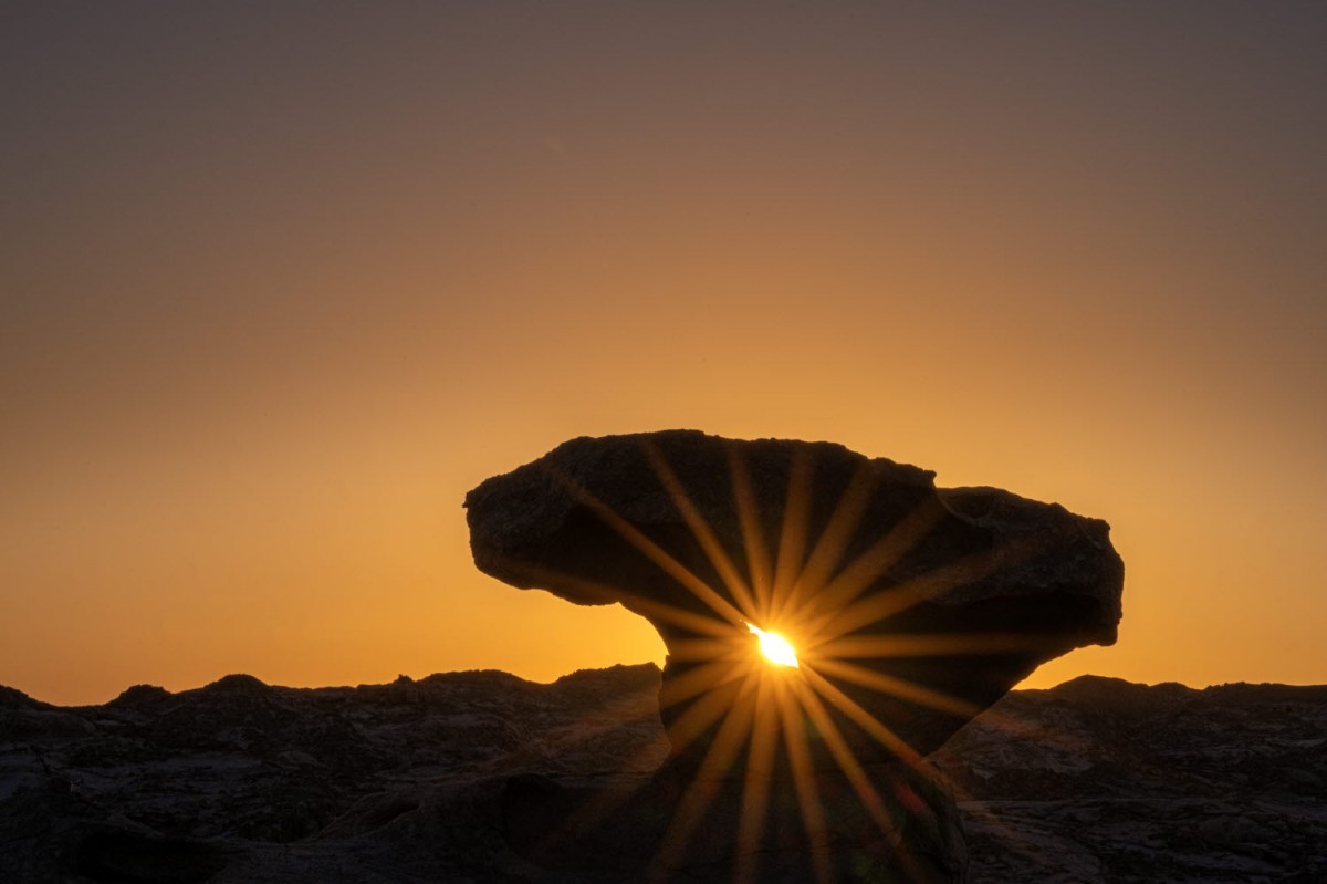 c586ce4ec0d4d637e491ce3b5f9688f8_1774642