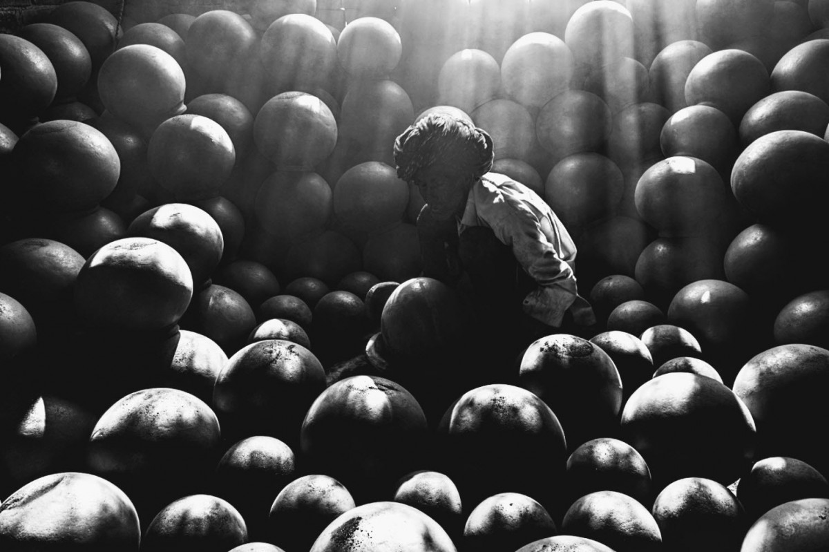 e194c5d14a78d9bca75edb00b9a36666_1773168