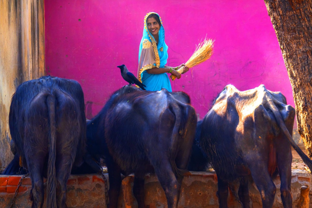 e194c5d14a78d9bca75edb00b9a36666_1773168