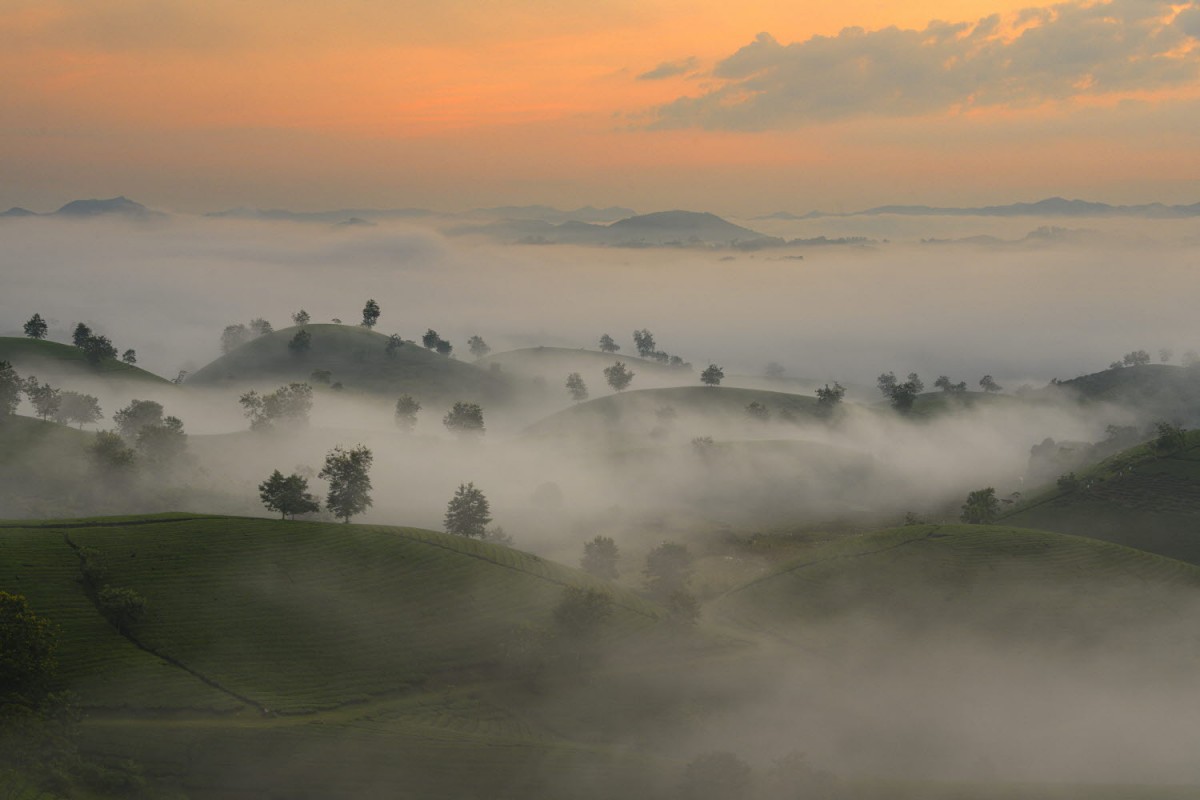 39623ffbb547b9991c4916126811a438_1786900