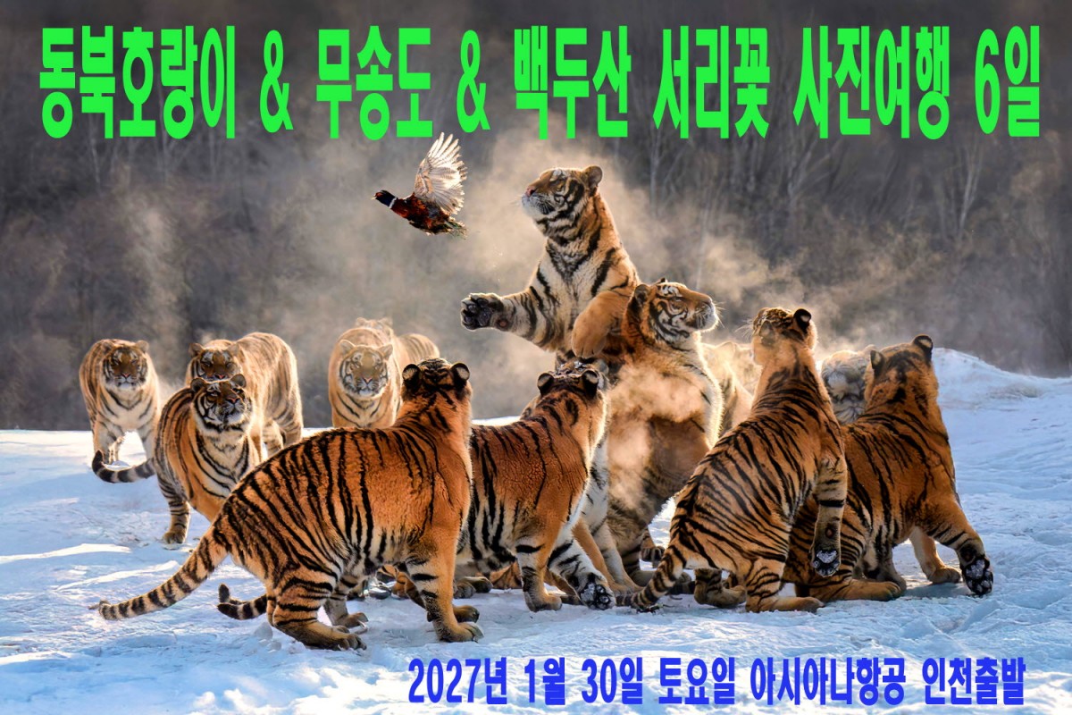 01697a07aac559df04f68f3978ccf2a0_1790186
