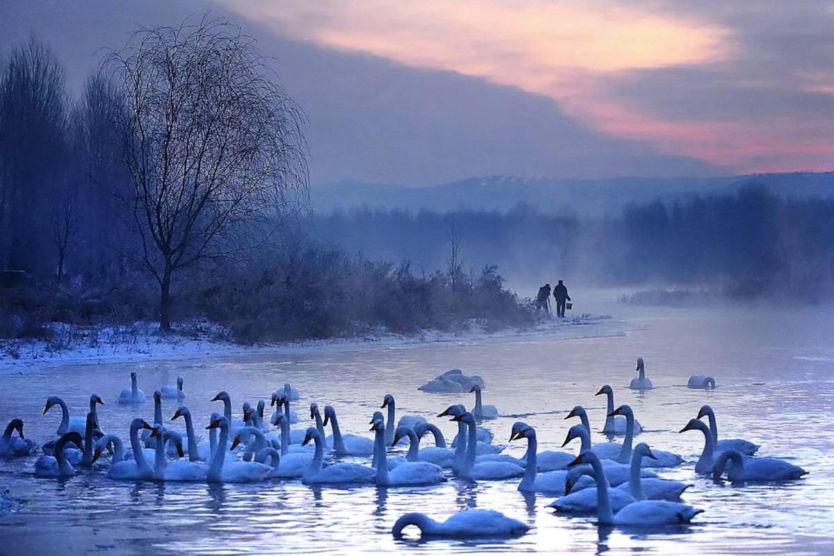 5507ed4d0bd23e72eaf26eacdb391f55_1790339
