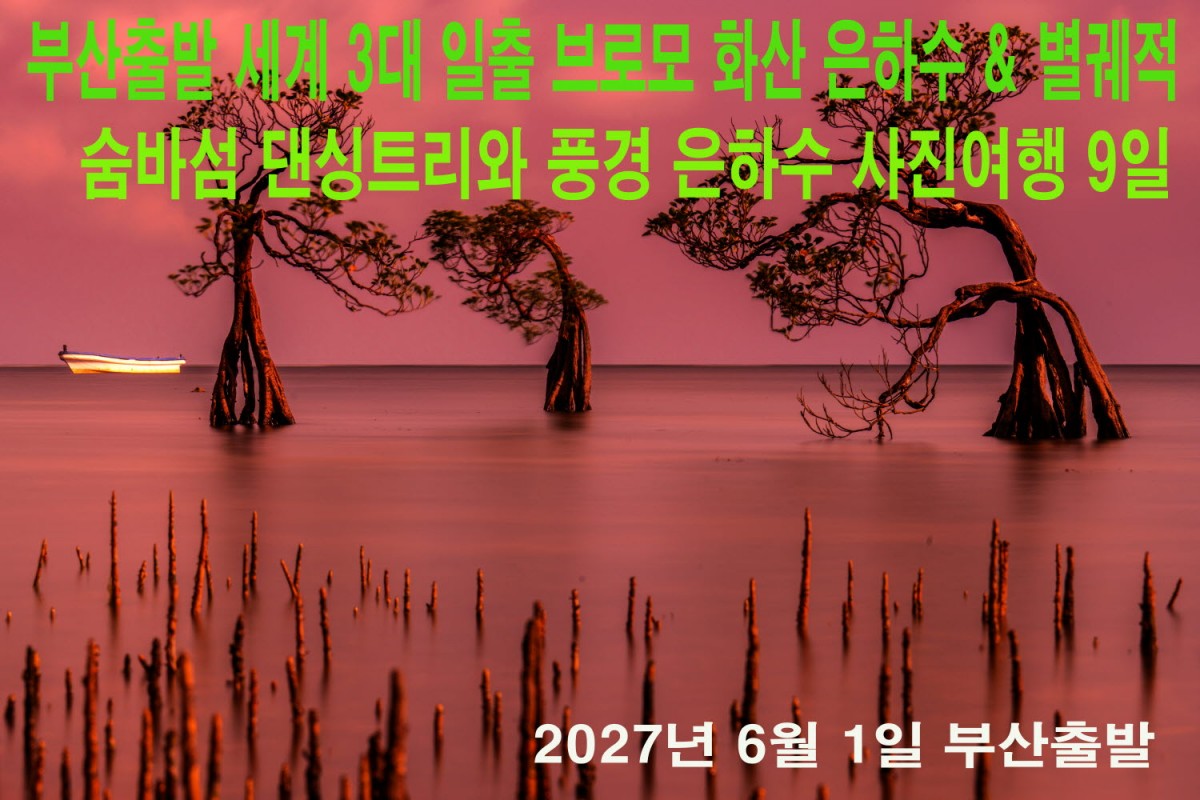 cd9094bdf8bf581c99498a8ae36aa4a5_1791569